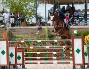 DEL CISTIA DEAUVILLE CampITA2013- S5 0589 : Campionati Italiani 2013, Cattolica, DEAUVILLE B.B., DEL CISTIA MARCO, Horse Riviera Resort, foto di Stefano Secchi ©